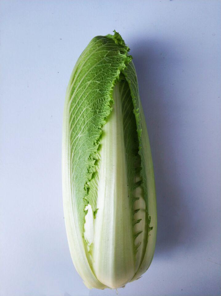 īײ
