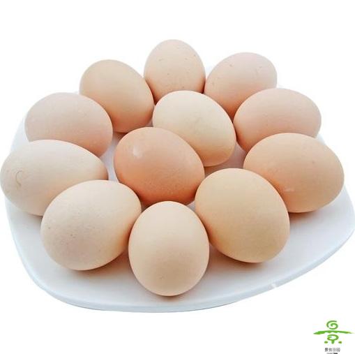 土鸡蛋（8个装）