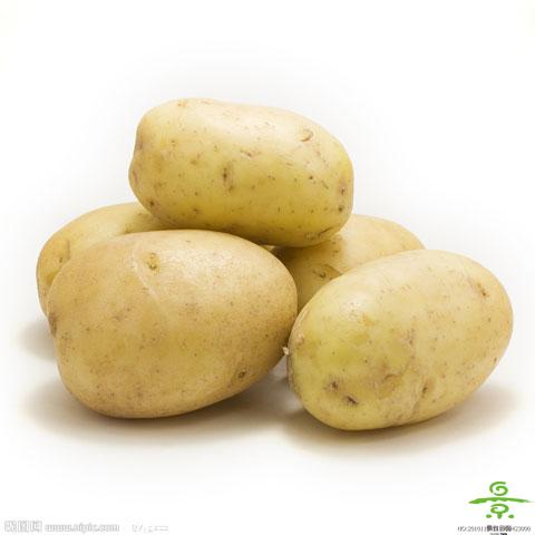 土豆（大）
