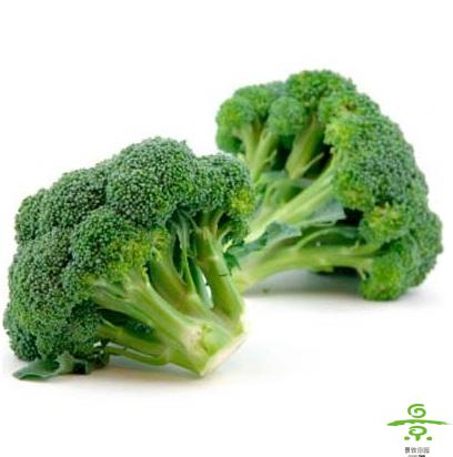 花菜类 > 蔬果类 > 西兰花 - 景致田园有机绿色蔬菜