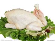 杭州禁止活禽交易，景致田园冷鲜鸡安全新鲜每一天！