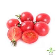 小红番茄148