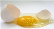 蛋清蛋黄哪个更营养？