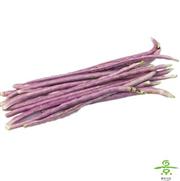 紫豇豆